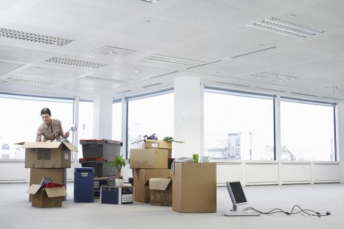 Removal vehicle options for domestic moving